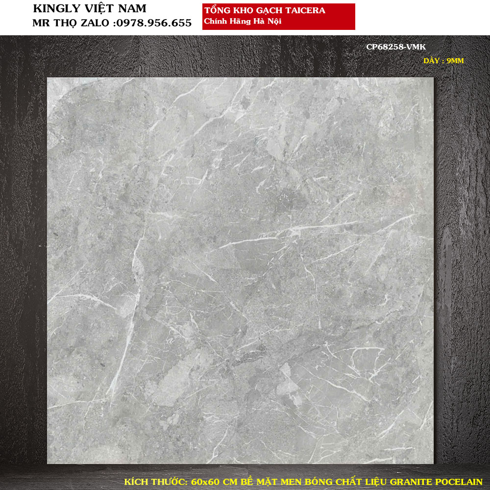 Gạch lát nền Taicera 60x60CM G68258 Loại 1